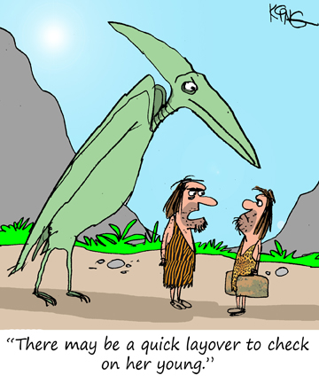 Layover.jpg